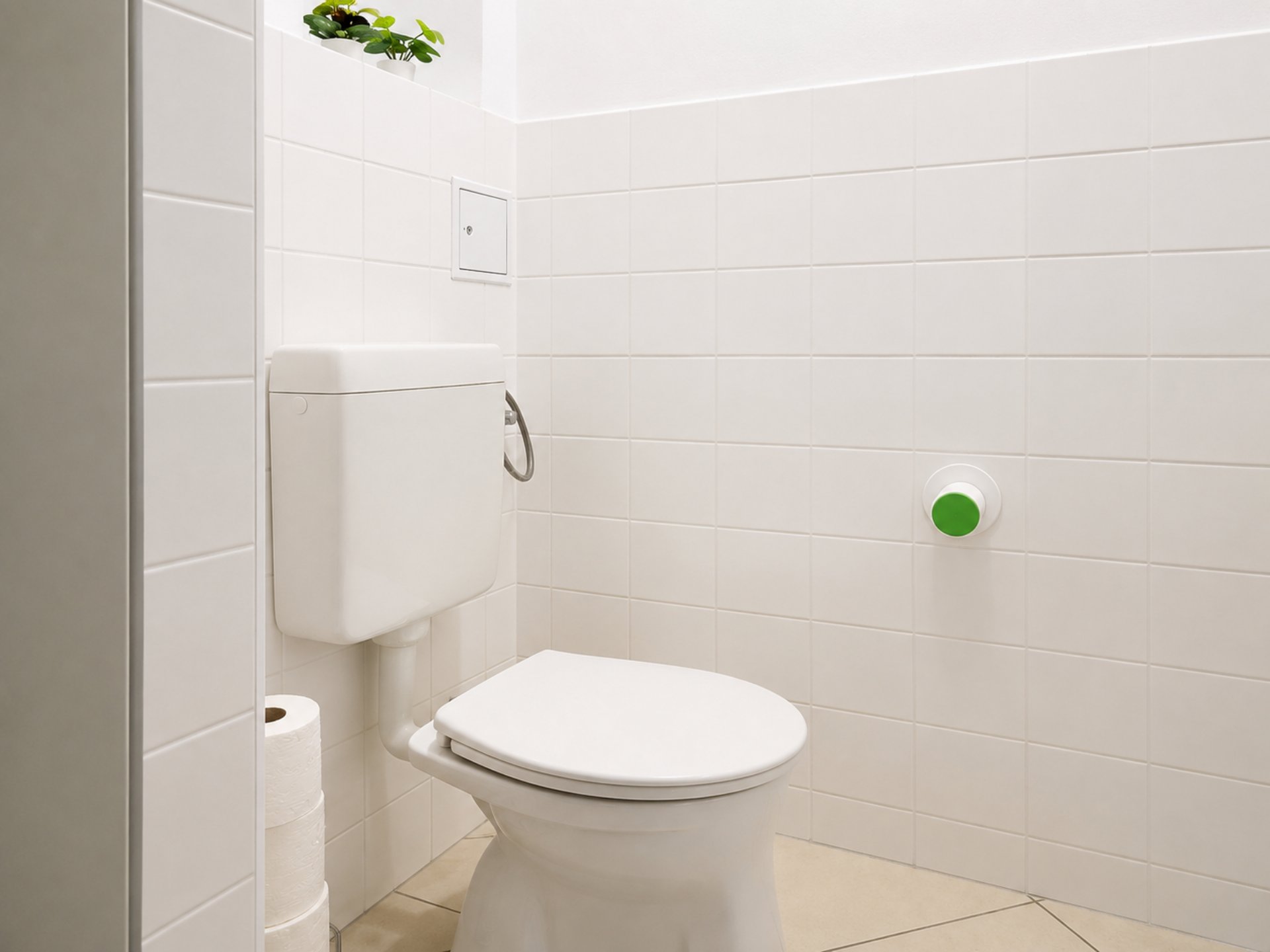 TP WC